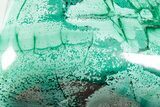 Flowery Polished Malachite Specimen - DR Congo #360805-1